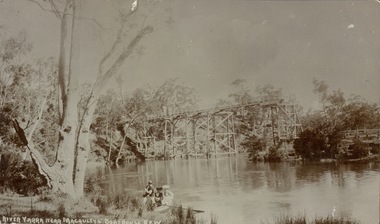 River Yarra near Macauleys' Boathouse Kew