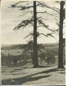 Golf course viewed from East Kew