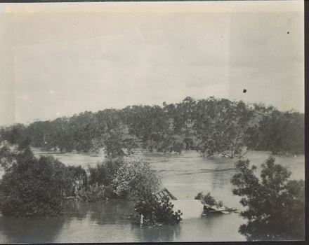 Yarra in Flood