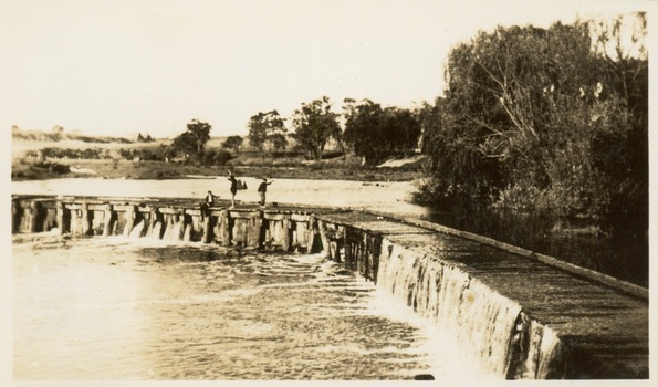 Dight's Falls, Studley Park