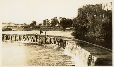 Dight's Falls, Studley Park