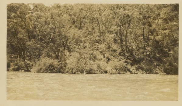 Victorian Canoe Club: Shooting the rapids, Warrandyte