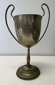 Kew Bowling Club : Skippers Average Trophy