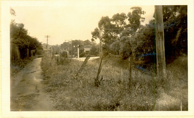 Seven Carriage Train at Barker Station