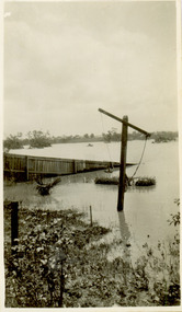 Flooding of the Yarra River in North Kew