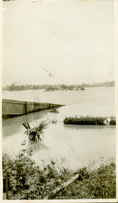 Flooding of the Yarra River in North Kew