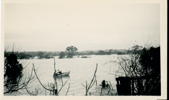 Flooding of the Yarra River in North Kew