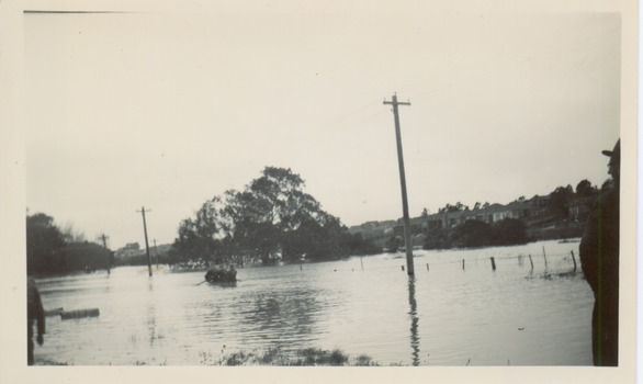 Flooding of the Yarra River in North Kew