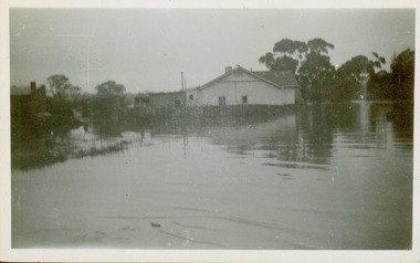 Flooding of the Yarra River in North Kew