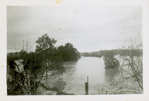 Flooding of the Yarra River in North Kew