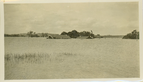 Submerged houses in River Avenue, North Kew