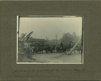 Workers, horses and drays in Burwood Road [Hawthorn]