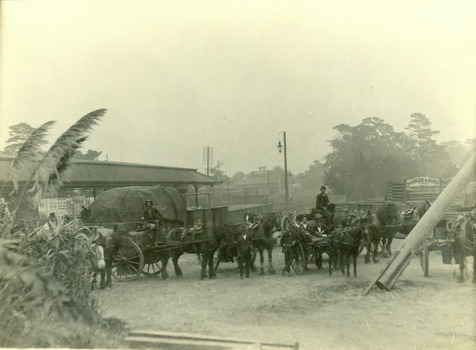 Enhanced image - Workers, horses and drays in Burwood Road [Hawthorn]