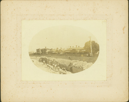 Regrading the Camberwell Railway Line near Burke Road