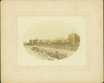 Regrading the Camberwell Railway Line near Burke Road