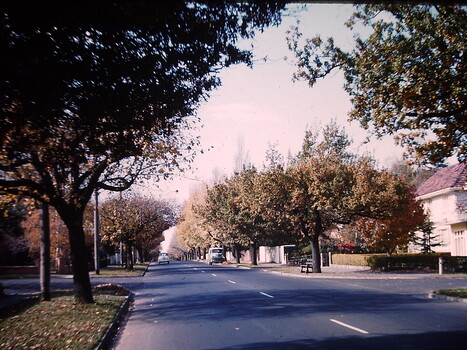 Mont Albert Road