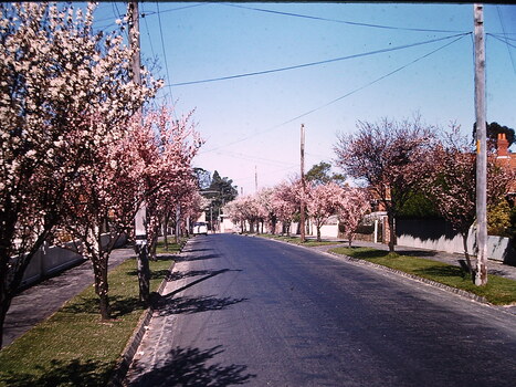 Banool Avenue