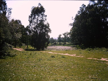 Construction of the Eastern Freeway (F19)