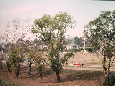 Photograph - Construction of the F19 [Eastern Freeway], Ron Setford, May 1976