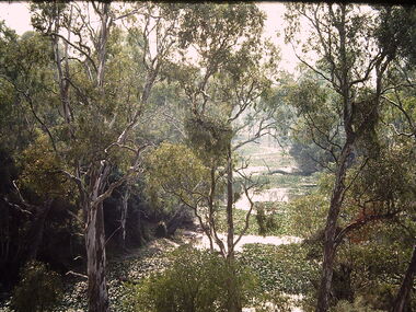 Photograph - Construction of the F19 [Eastern Freeway], Ron Setford, May 1976