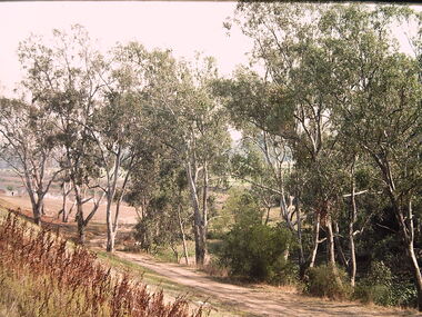 Photograph - Construction of the F19 [Eastern Freeway], Ron Setford, May 1976