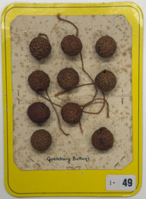 10 buttons on old paper on yellow card, c. 1930s