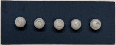 5 buttons on blue card, 1880s - 1920s