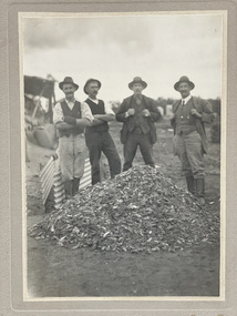 Photograph, Mouse plague, Woomelang c 1917, 1917 Woomelang, Greg Dwyer Photographer
