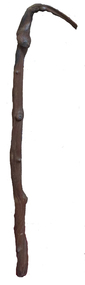 Photograph - Photograph - Colour, Walking Stick
