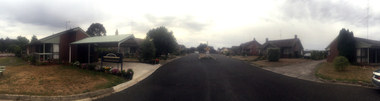 Photograph - Colour, Clare Gervasoni, Charles Anderson Grove from Gillies Street, Ballarat, 2015, 07/12/2015