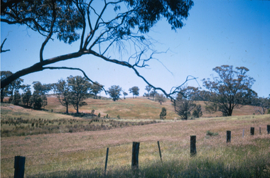 Photograph - Slide, Farmland, later to become Mount Helen Campus, 1967
