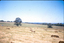 Farmland