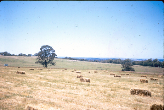 Farmland