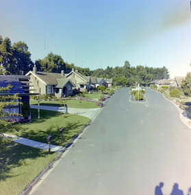 Photograph, Charles Anderson Grove, c1982