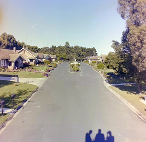 Photograph, Charles Anderson Grove, c1982