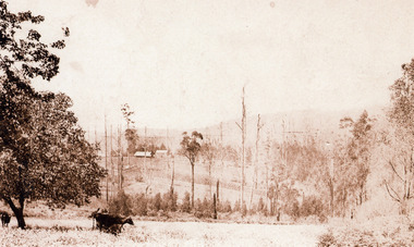 Photograph, Across the Creek to Falls Road c1920, c1920
