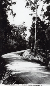 Photograph, The Mt Dandenong Road c1930, c1930