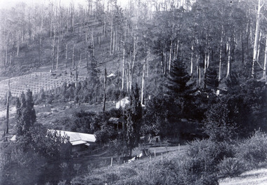 Photograph, Kalorama Guest-house with View of Valley