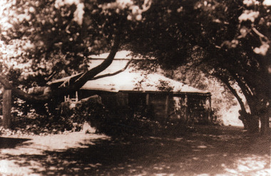 Photograph, 'Mountain Grange', Homestead of Thomas Hand and Family