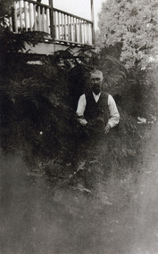 Photograph, Ellis Jeeves c1910, c1910