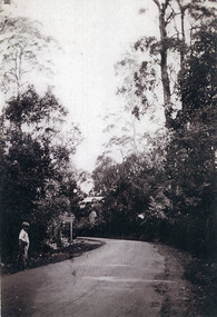 Photograph, Main Road, Kalorama, c1930