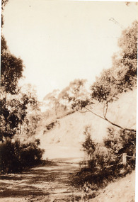 Photograph, Main Road to Mt Evelyn, Kalorama, c1930