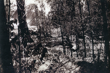 Photograph, Bushfire, 1935, near Kamanange in Kalorama, 1935