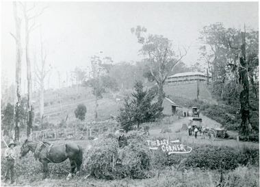 Photograph, 'The Busy Corner' FiveWays c1909, c1909
