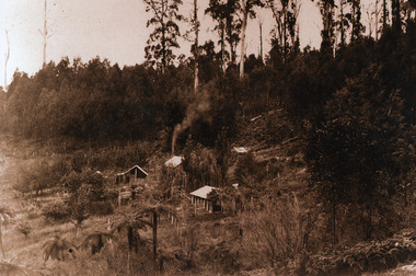 Photograph, Child Family Property Kalorama Valley c1900, c1900