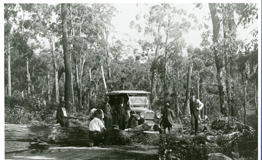 Photograph, Car On New Road Blocked By Tree