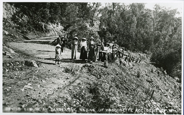 Photograph, Devil's Elbow at Mt Dandenong Scene of Waggonette Accident 27.12.11, 1911
