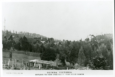 Photograph, Olinda, Victoria. Outlook to Ferntree Gully from Dulce Domun