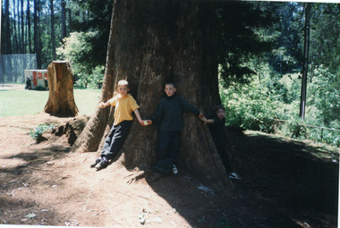 Photograph, Mount Dandenong Primary School 1997, 1997