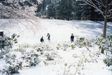 Photograph, Snow at Mt Dandenong Primary School 1995, 1995